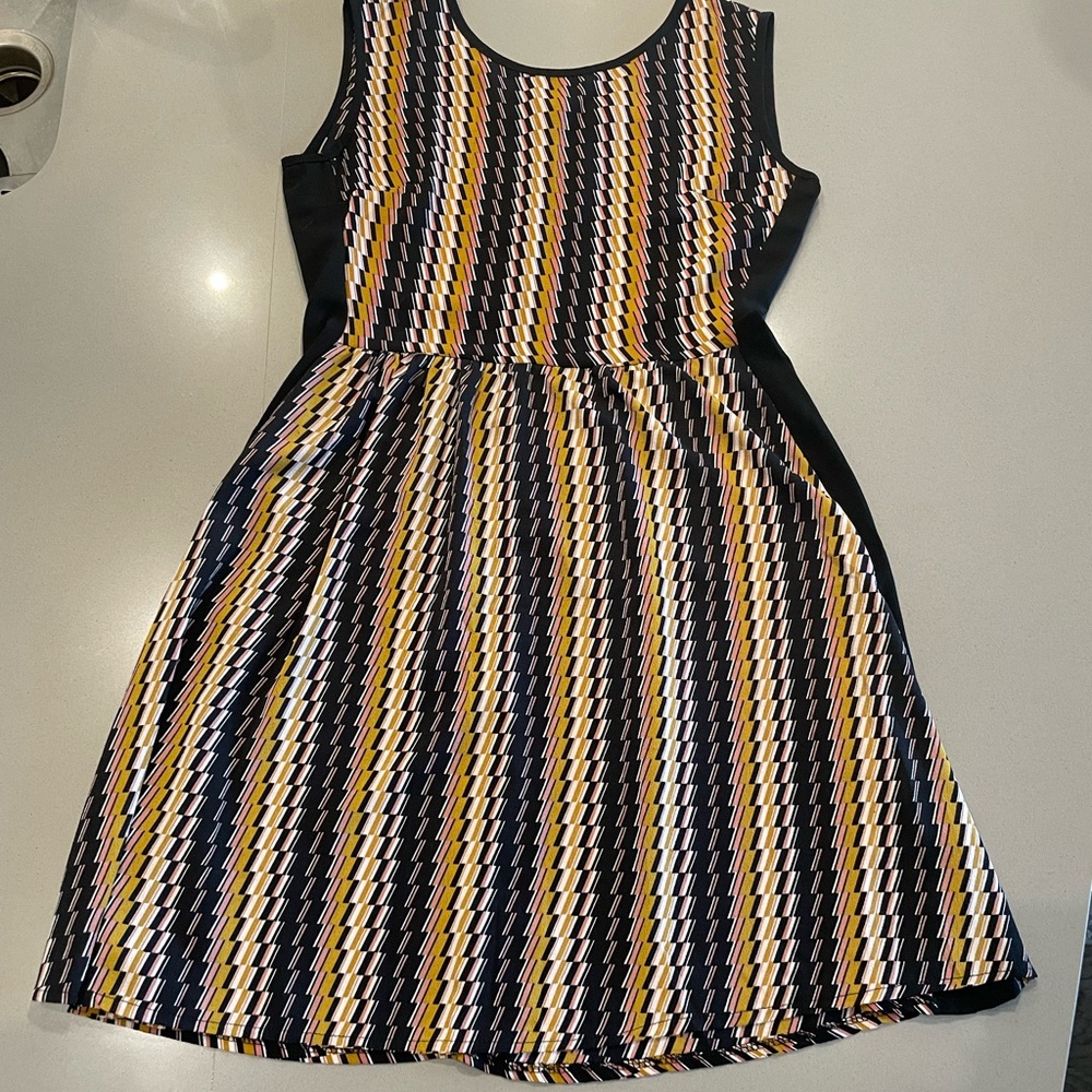 Black and White Fit and Flare Sleeveless Dress